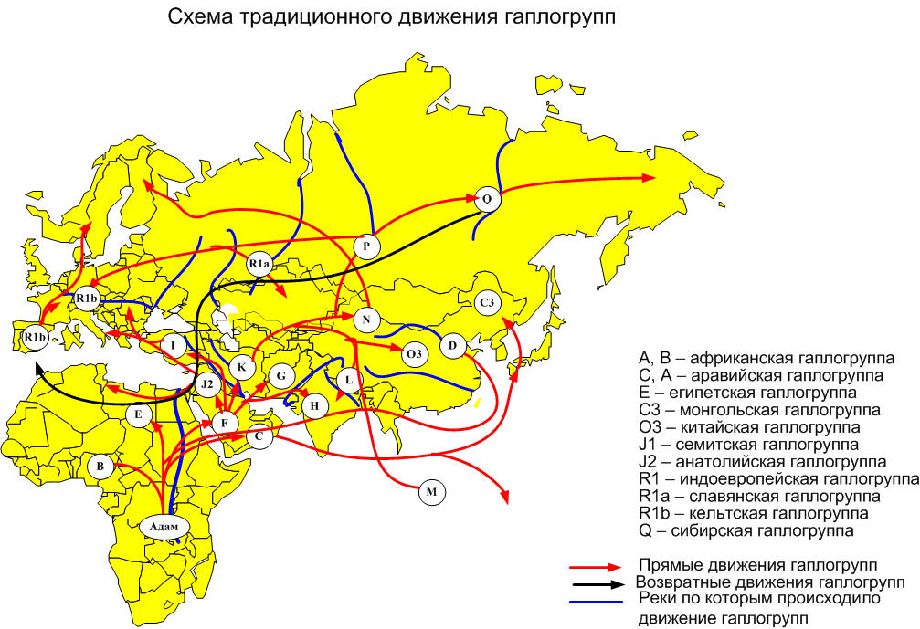 Генетическая карта мира на русском