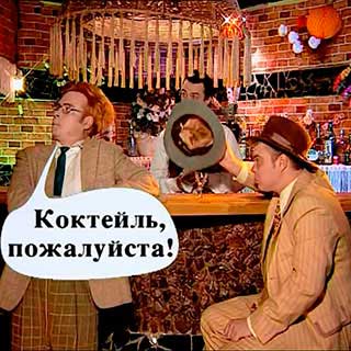 "Зять ведь как никак. Это нормально?"