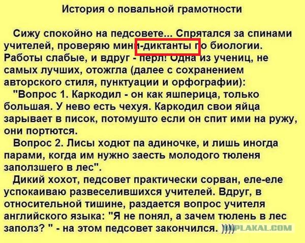 Немного юмора, гуманитарного