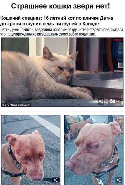 Конфеты по рублю