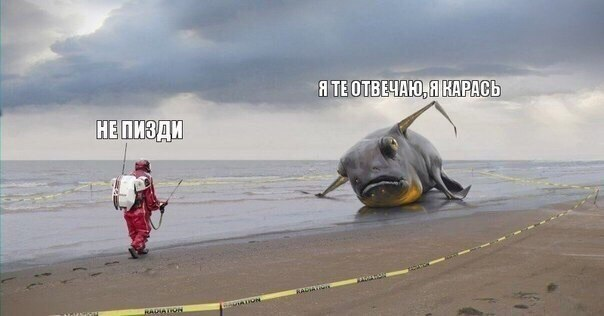 Чудеса? Да запросто! Индонезия