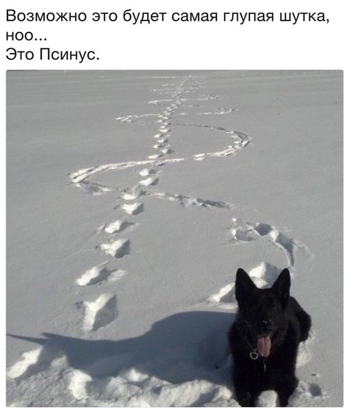 Немного картинок для настроения 28.01.20
