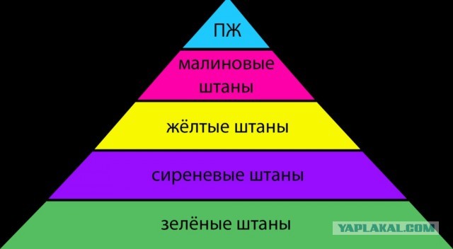Дошутились? Кого тут "печенеги" смешат?!