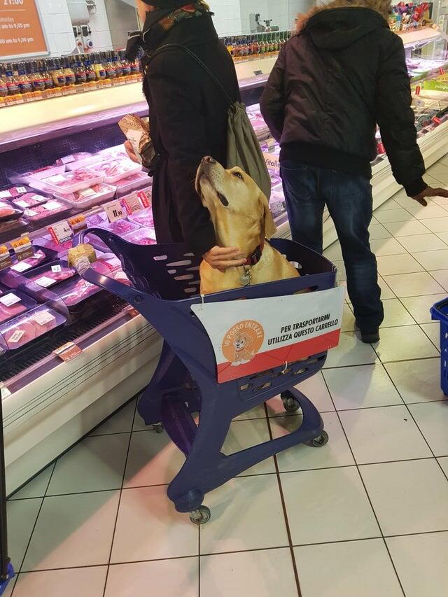В этом мире так много интересного
