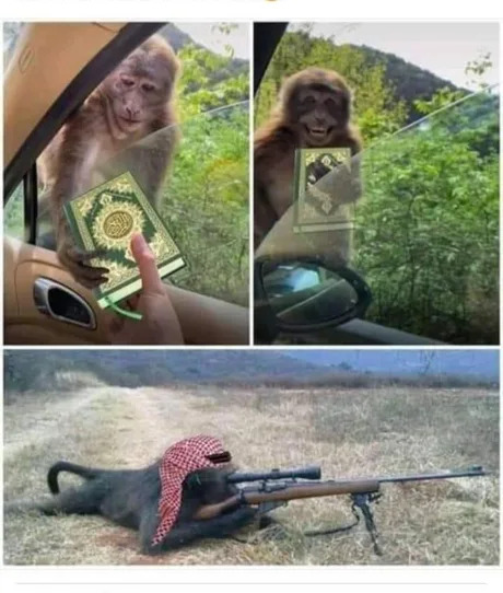 Картинки не для всех к вечерку