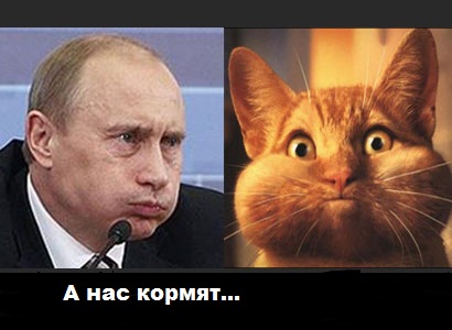 Фотожаба: Крик души