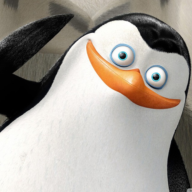 В Антарктиде пингвин спасся от косаток, заметив лодку с людьми