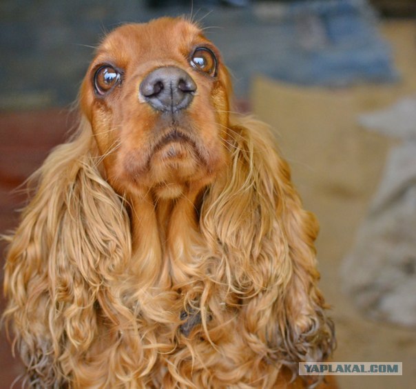 Можно я с краешку прилягу?