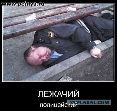 Пьяный руководитель из СКР Тольятти Паникар