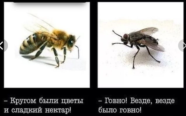 Насохранял