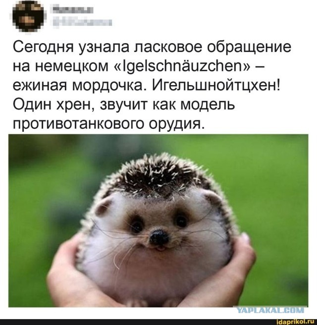 Скажи это по-немецки