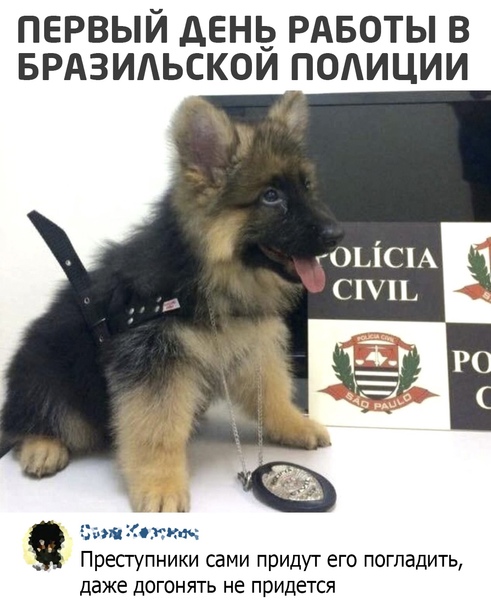 Картинки с надписями и всякие жизненные фразы 29.05.21