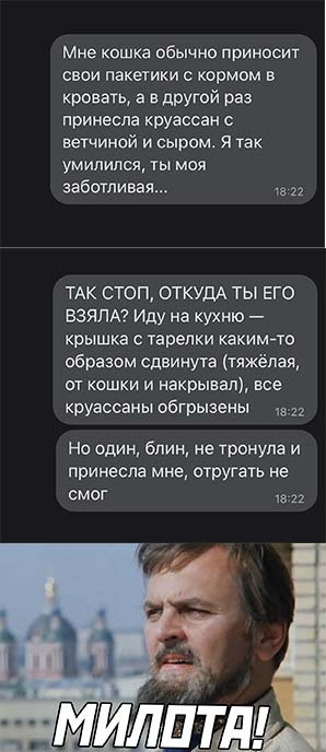 Воскресные Кретинизмы из сети 12.09.2021