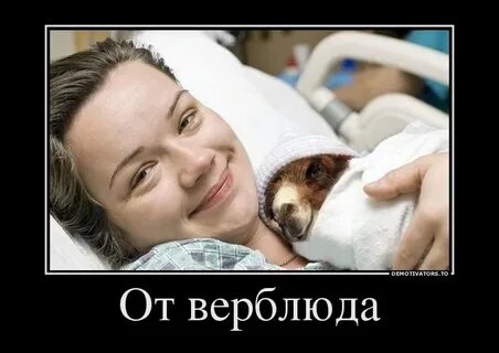 Реклама в телевизоре (да и не только!) не заманивает, а отталкивает