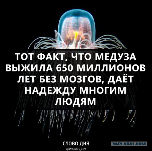 Так себе картинки 13.12.21
