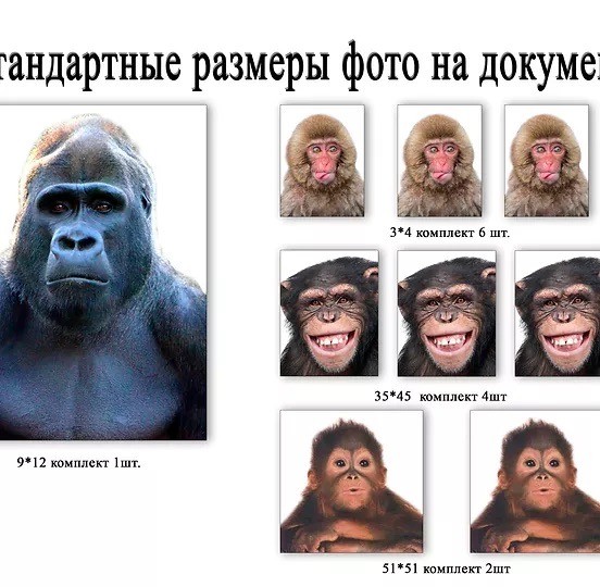 Как правильно бороться с расизмом