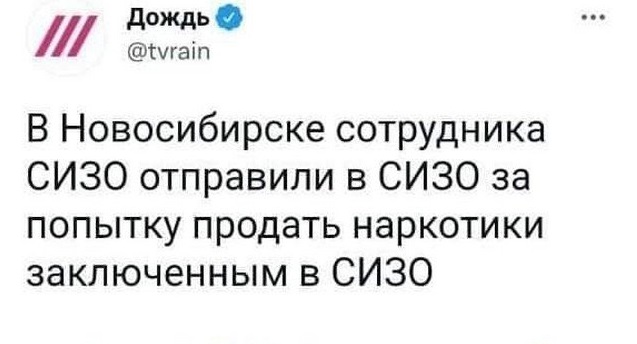 Забавные шутки, фразы, картинки из этих ваших интернетов