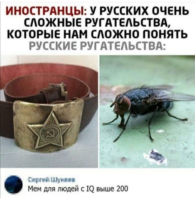 Картинки с надписями и всякие жизненные фразы