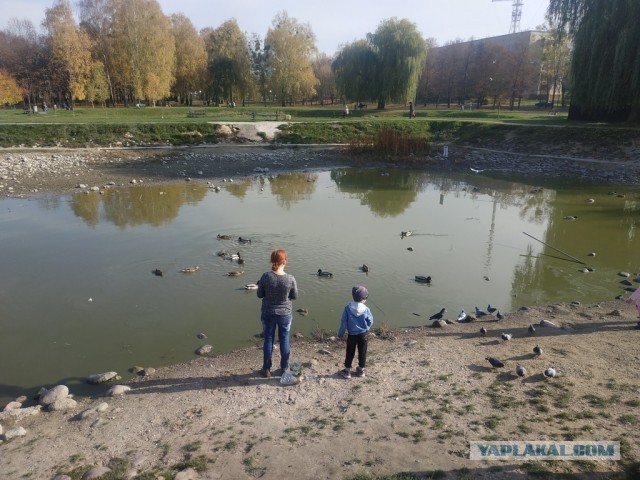 ЯП кругосветка. Этот проект завершился!