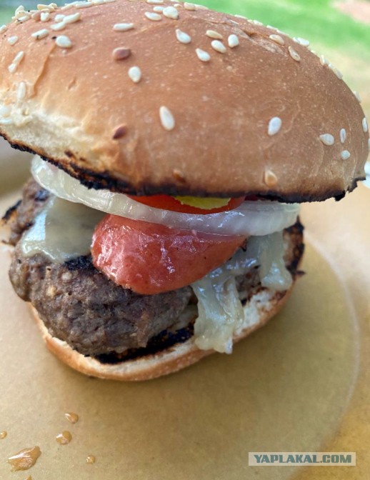 ЯП кругосветка. Этот проект завершился!