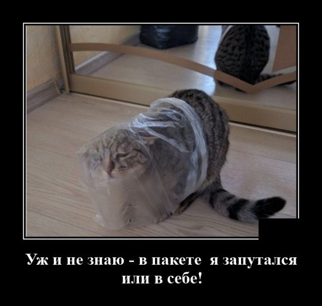 Картинки с надписями 17.06.22