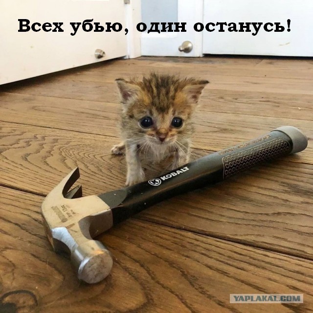 Картинки с надписями 31.07.22