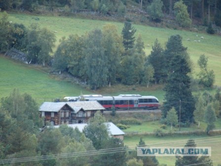 Деревня в которой я живу