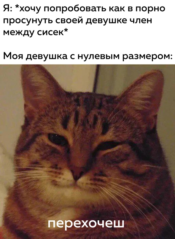 Картинки и мемы, всем хороших выходных