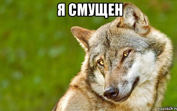 Известные российские "красавицы", половину которых вы не знаете, без макияжа