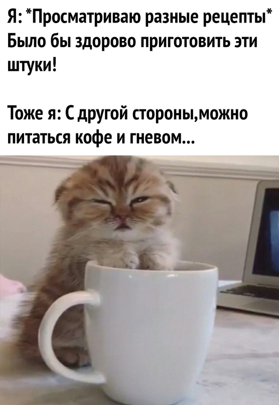 Картинки и мемы, всем хороших выходных