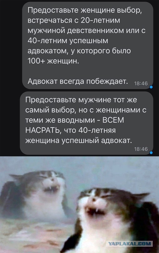 Весёлый полтишок 19.01.23