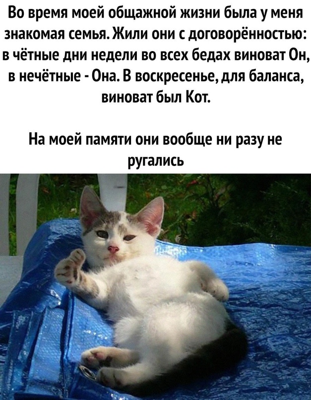 Немного картинок для настроения - 153