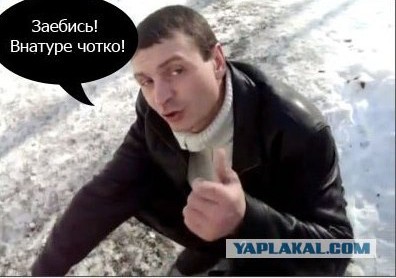 Профессионалы