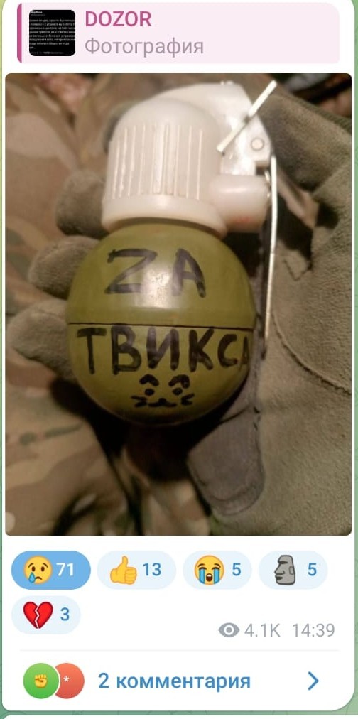 Кота Твикса выбросила не проводница. ФПК провела расследование.