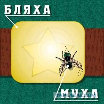 Веселые картинки в понедельник (30.09)
