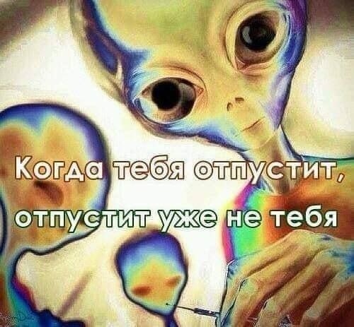 Нуштош 13.12.2024