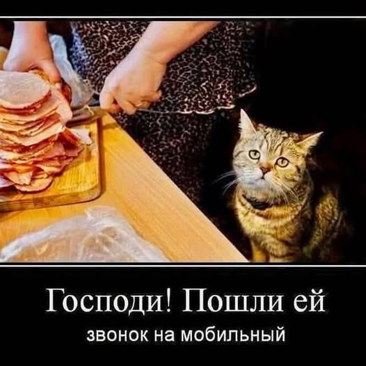 К котовторнику: подборка картинок-баянов с котиками и про котиков. Выпуск 2.