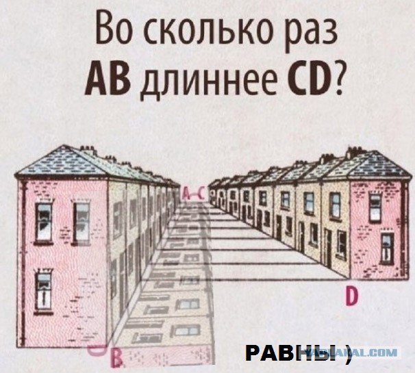 Так себе картинки 10.06.25