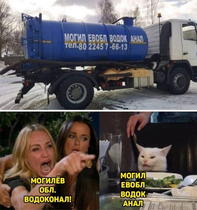 Знаменитый кот