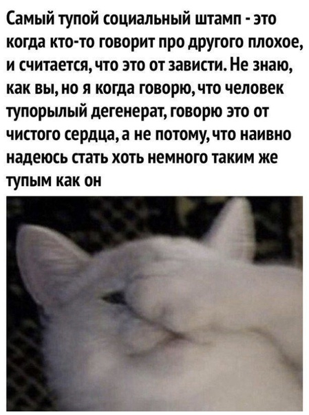 Весёлый полтишок 08.07.25