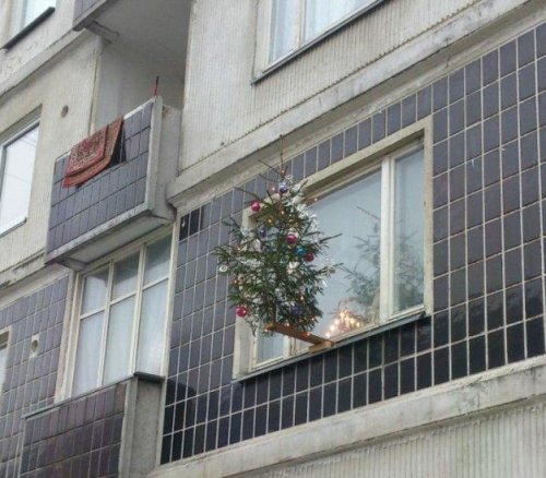 Свободны, но заперты