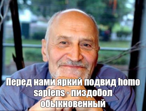 Ребята, что происходит?