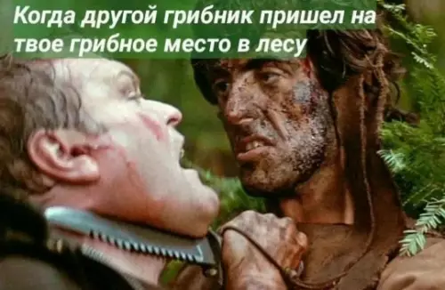 Картиночки, баянчики 17 февраля