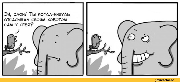 ЯПовец недоумевает