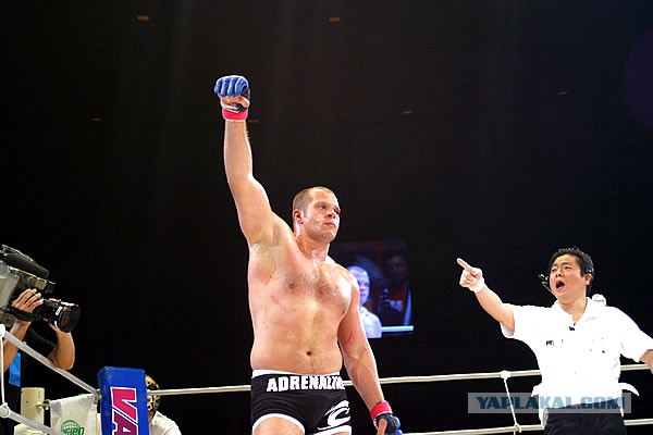 Внешность обманчива