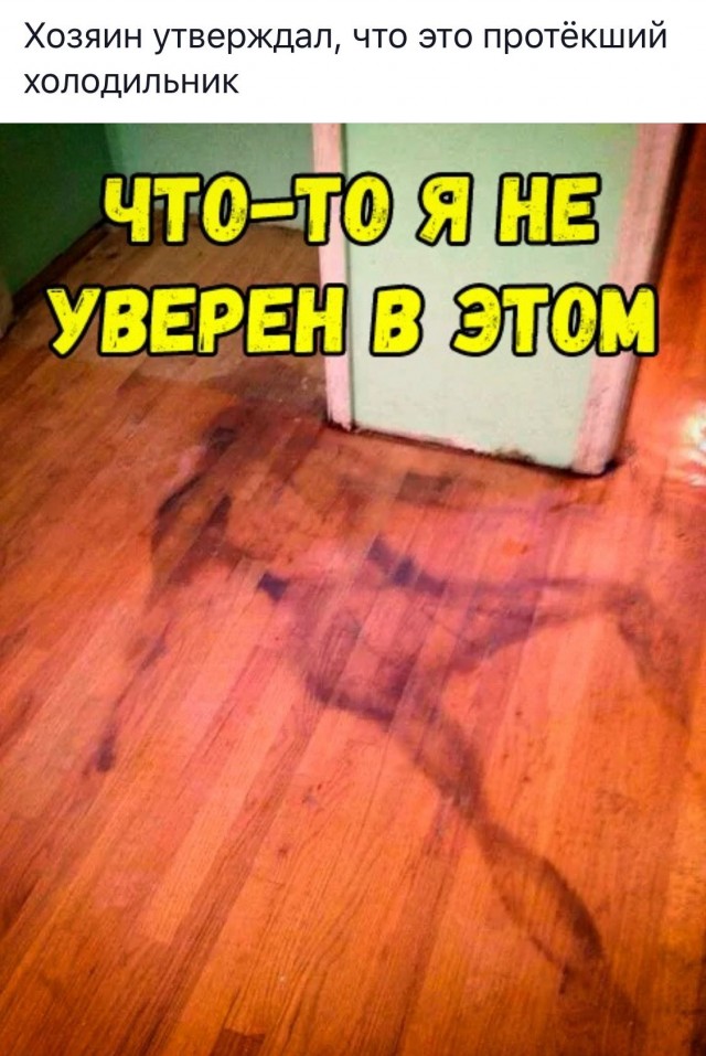 Картиночки, баянчики 29 марта