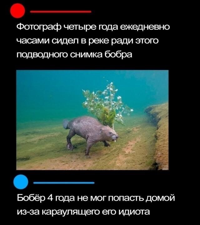Субботние картинки