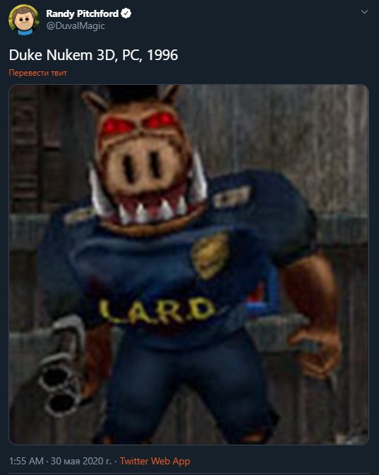 В РПЦ не видят проблемы в пересадке органов свиньи человеку, — СМИ.