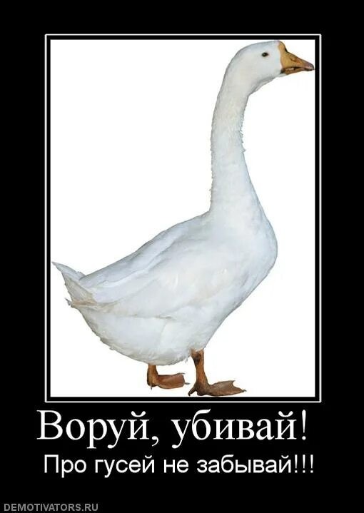 Вдвоем душат гуся. Третий мешает.