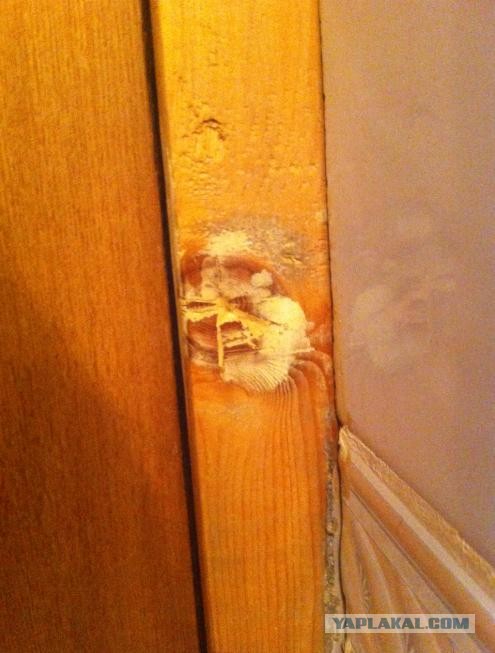 До сих пор ИХ вижу!